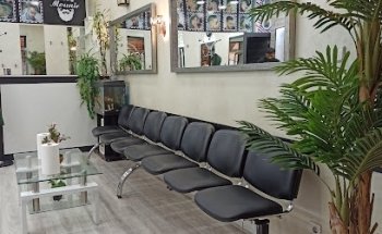 Flores y Plantas Saray