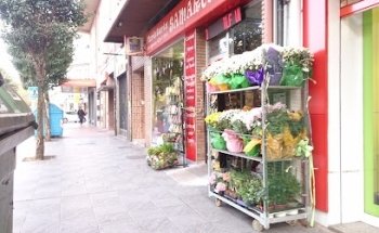 Floristería Samarcanda