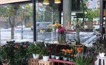 Floristeria La Marialluïsa