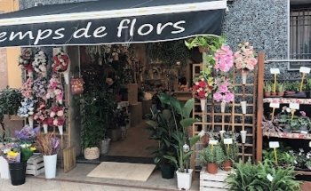 Temps de Flors