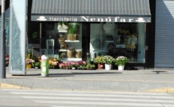 Floristería Nenúfar
