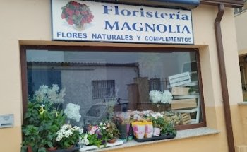 Floristeria Magnolia