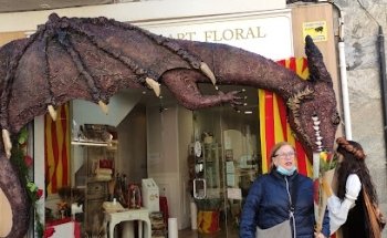 Floristería en Rubí Carmen Art Floral