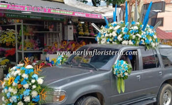 Narlyn Floristeria