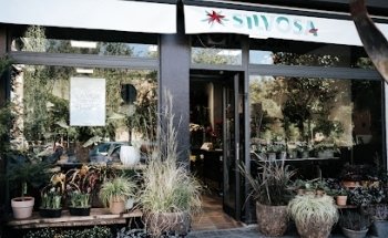 Silvosa Hermanos S.L.