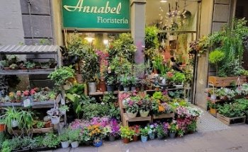 Annabel Floristeria | Fontana