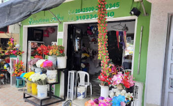 floristeria Ibague | flores ibague【FLORISTERIA ALBA】flores