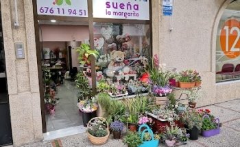 Floristería Sueña la margarita
