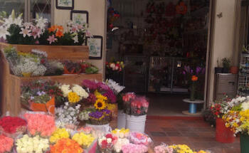 Flores ? GUISELL FLOWERS