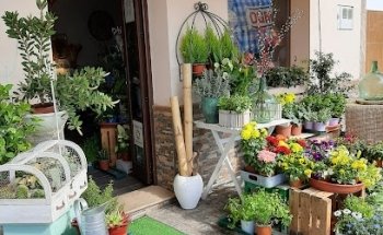 Floristería Vico