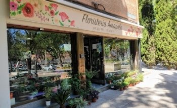 Floristería Amapola