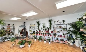 Vivero Floristería Floraila