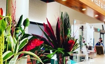 floristeria iris ayamonte