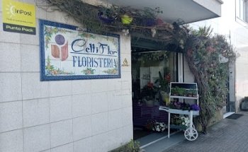 Celtiflor (Santiago de Compostela)