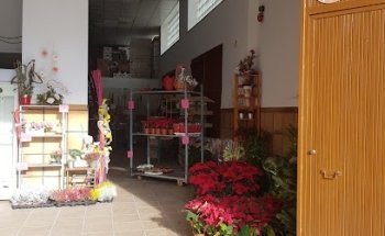 vitalflora taller floral valencia