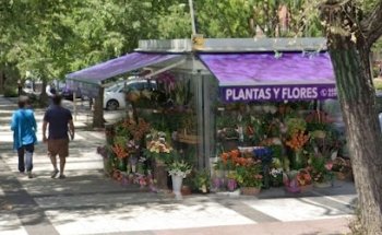 Grupo Soraya. Vaguadaflor