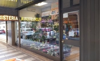 Floristería Trébol