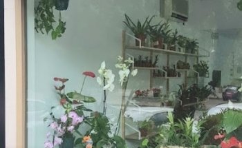 Floristería el Olivar