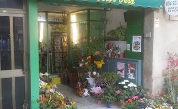 Floristería Sabadell - De Color Verd
