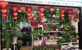 Flores a Domicilio Arteflor Madrid