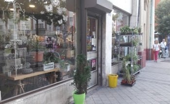 Flowers and Plants Madre Selva