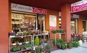 Floristería Osuna Granada - Envío de flores y rosas a domicilio - Coronas fúnebres
