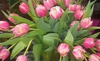 Floristería Unzueta