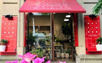 Floristeria MAYFLOWER