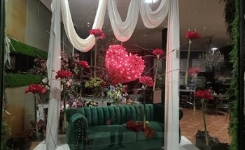 Luis Hoyo Floristas
