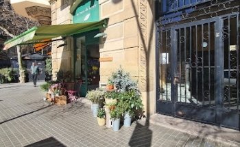 Au nom de la rose | Barcelona