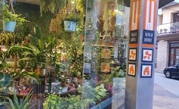 Floristeria Menaje del hogar Decoraciòn Mile Jardin-hogar