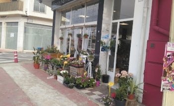 Floristería Naturplant