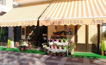 Floristería Ana