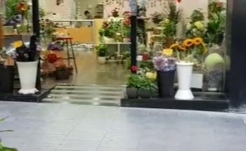Eli Floristería