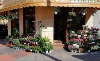 Floristería la flor de la canela.