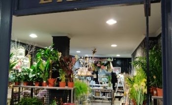 Floristería en Huelva | Floristería Las Lilas