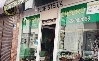 Floristería ENEBRO