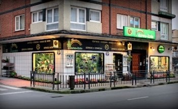 Arco Iris Pola de Siero