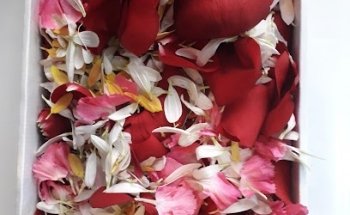 Floristeria Flors per tu