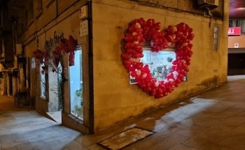 Marta Flores y Plantas