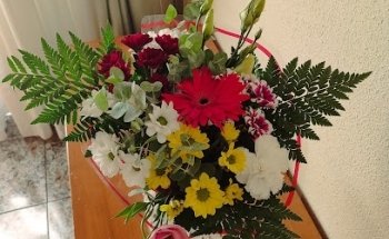 Floristeria La Orquidea