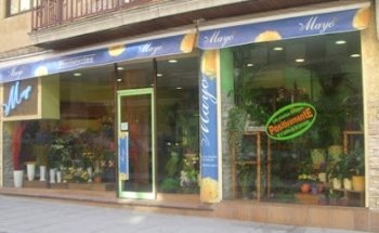 Mayo Floristerías