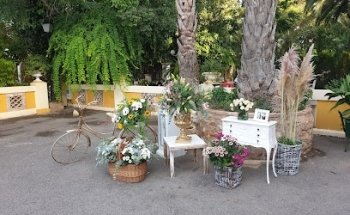 Art Natural Floristería en Valencia