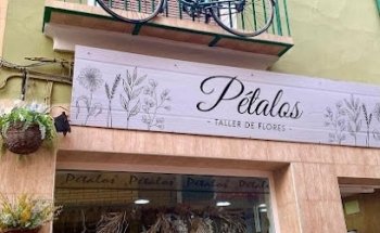 Floristeria en cheste Petalos