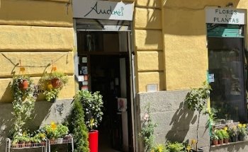 Andrés Flores y Plantas