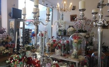 Floristería Gloxinia