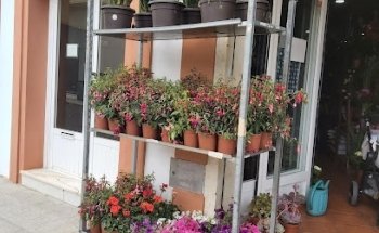 Floristería Marta - Servicios 24 Horas para funerales