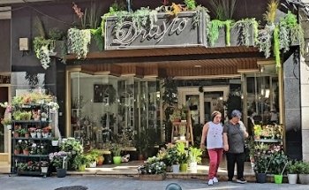 Floristería Drayto