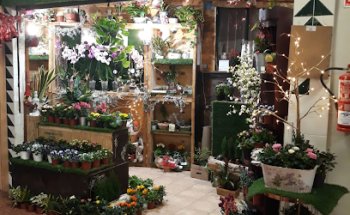 FLORISTERIA Y JARDINERIA JORGE