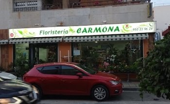 Floristeria Carmona